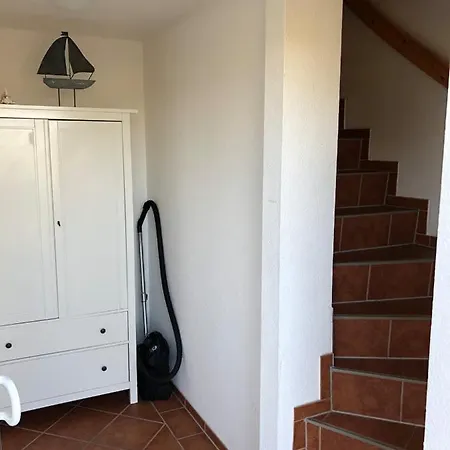 Graureiher Wieck