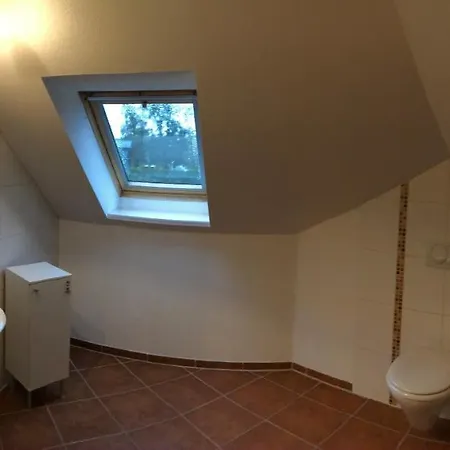Graureiher *